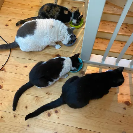 Skylight Et Separe Avec Terrasse Panoramique Avec Vue Et Piscine Privee Vila *